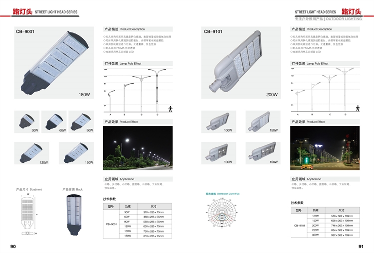 LED市电路灯 SL-310