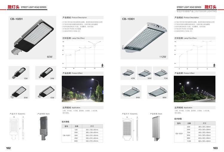 LED市电路灯 SL-316